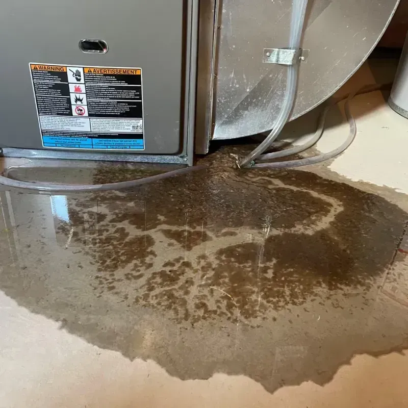 Appliance Leak Cleanup in Dickeyville, WI